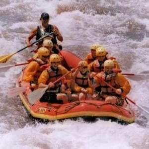 Meet your Posher, Annette